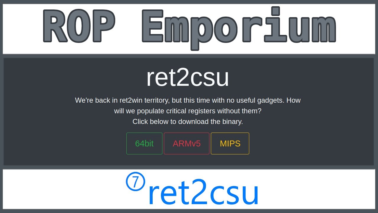 8 - ROP Emporium Series - ret2csu