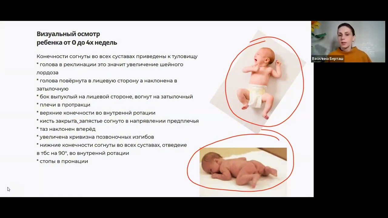 Урок 2 Онтогенез и онтогенетическая гимнастика