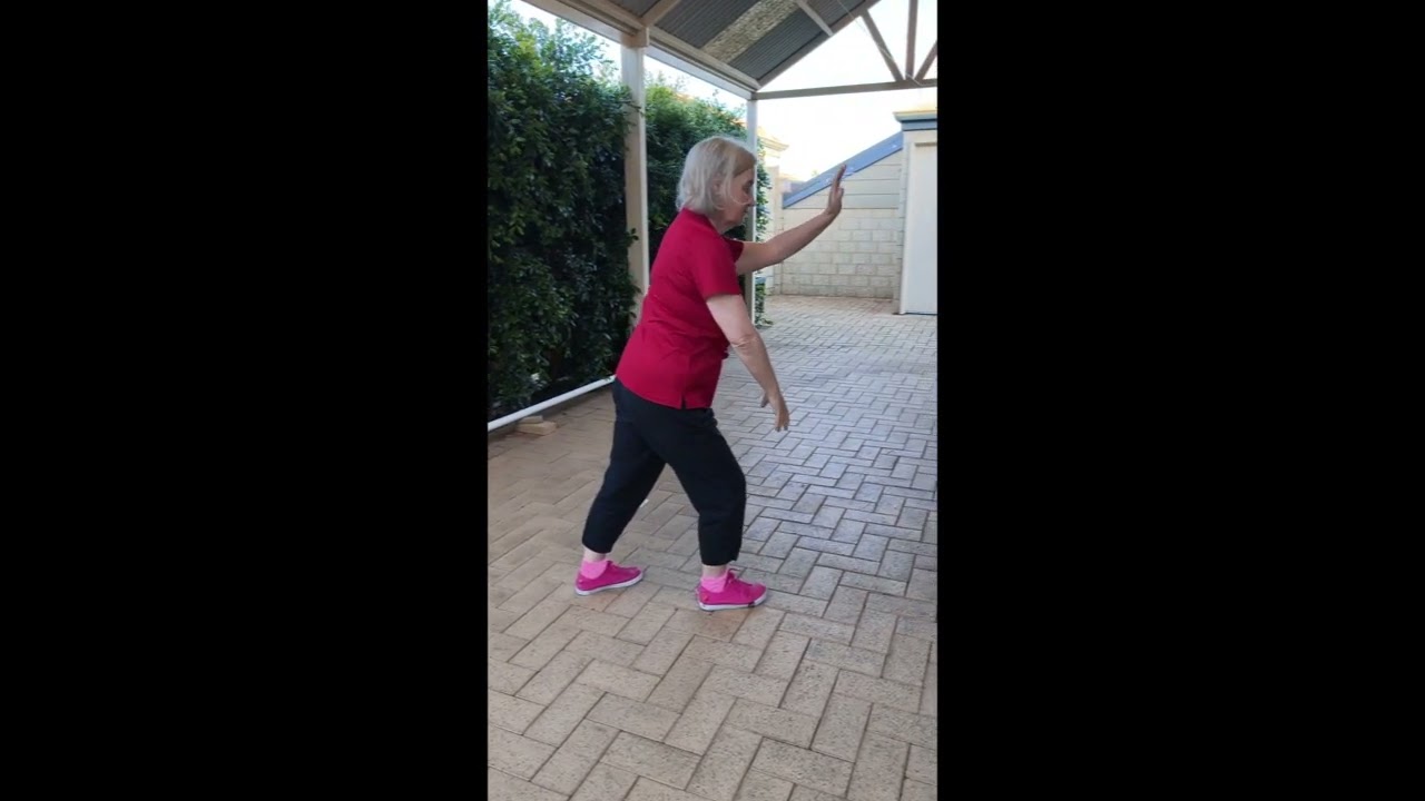 Tai Chi Beginner Steps 1 to 10