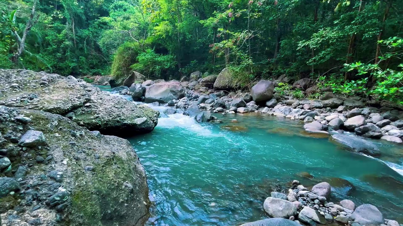 Sleep Better with Peaceful River Sounds | 10 Hours of Relaxing Water White Noise for Insomnia