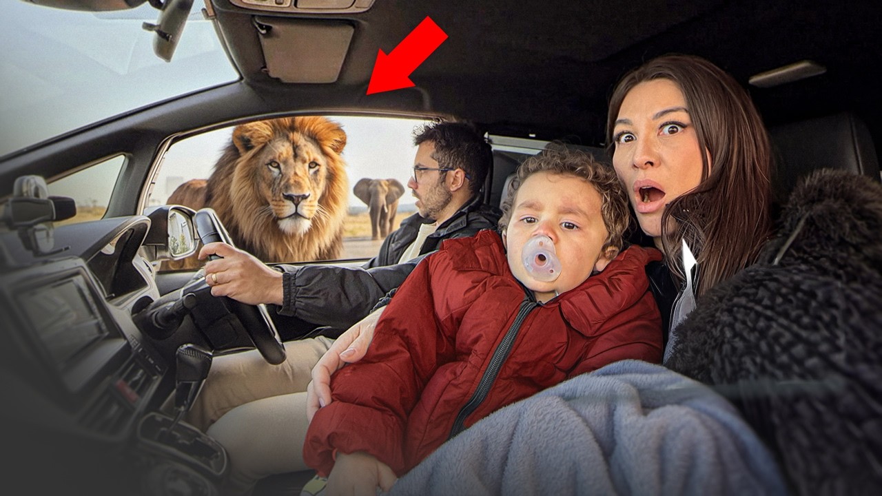 PRIMEIRA VIAGEM DE CARRO NO JAPÃO *Que Incrível - Fran Japa
