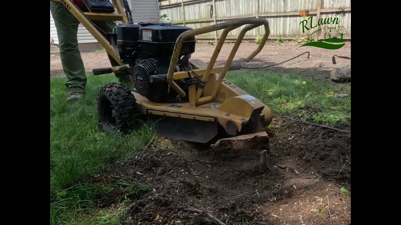 Stump grinding with my Vermeer SC130 on a 12” stump