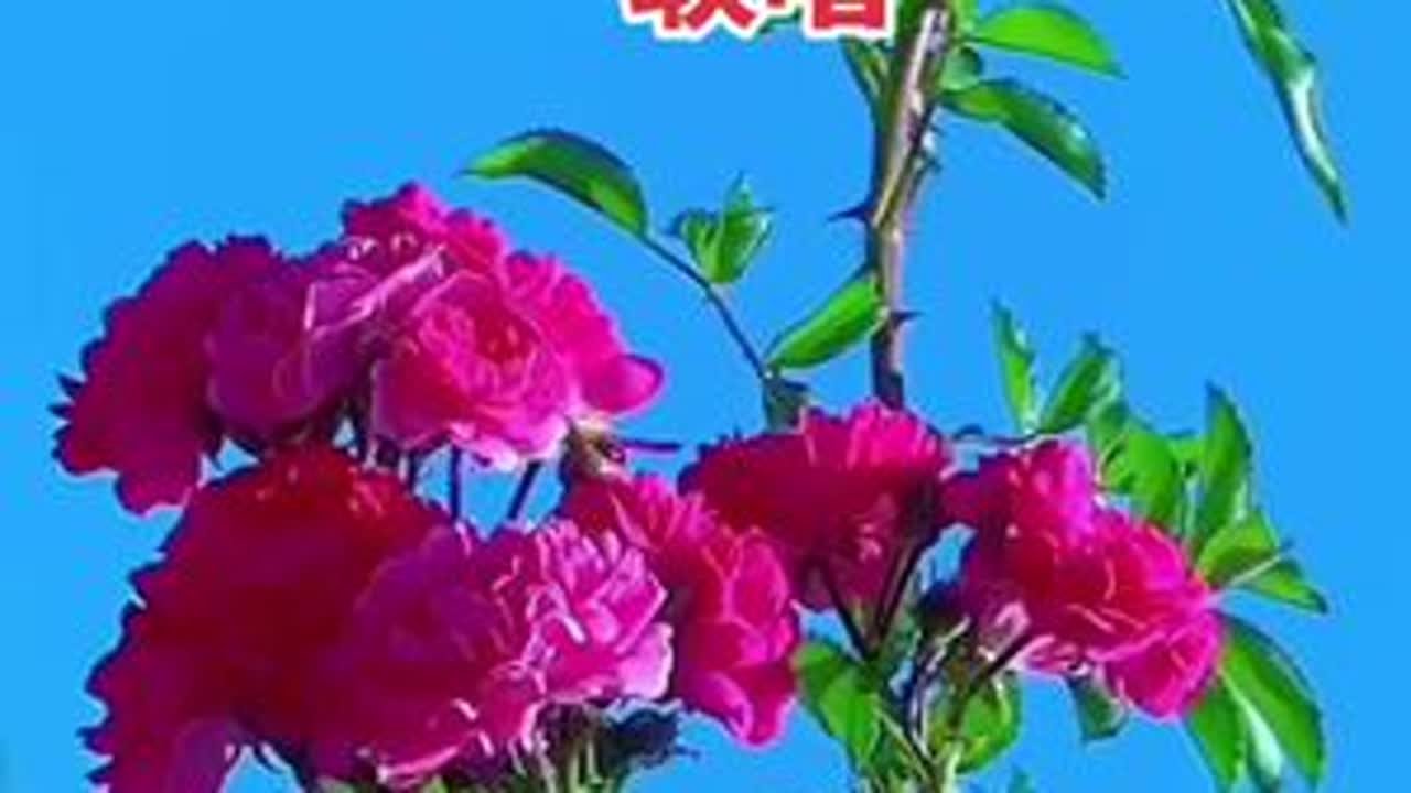 #秀出家乡美
