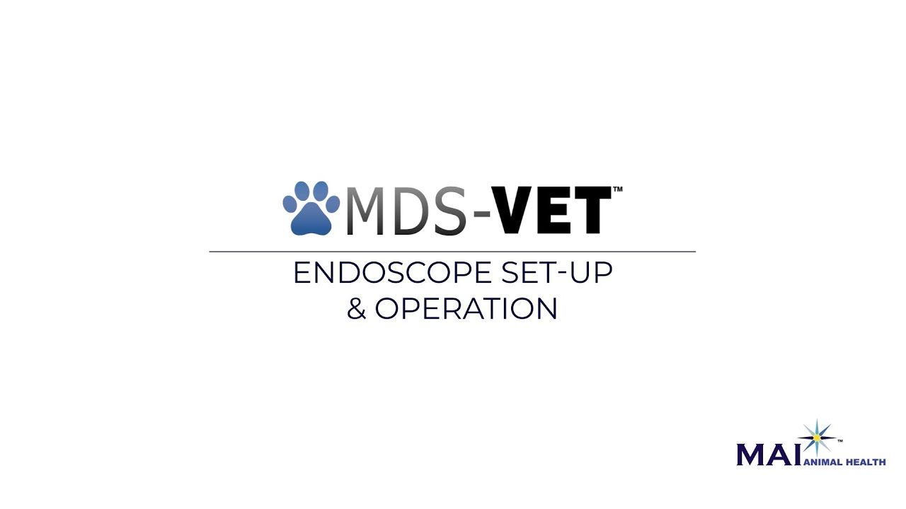 How to Set Up the HD Video Endoscope for Veterinary GI Examinations