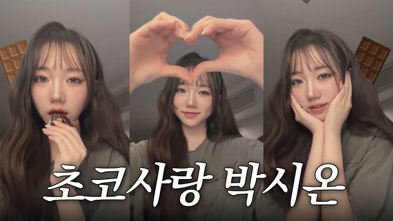 초콜릿박사 박시온의 초콜릿 맛평가