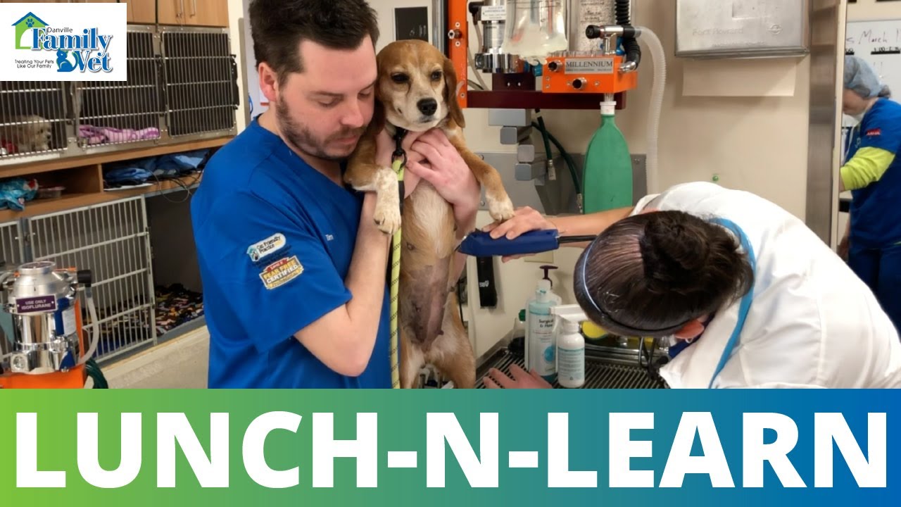 Lunch-N-Learn