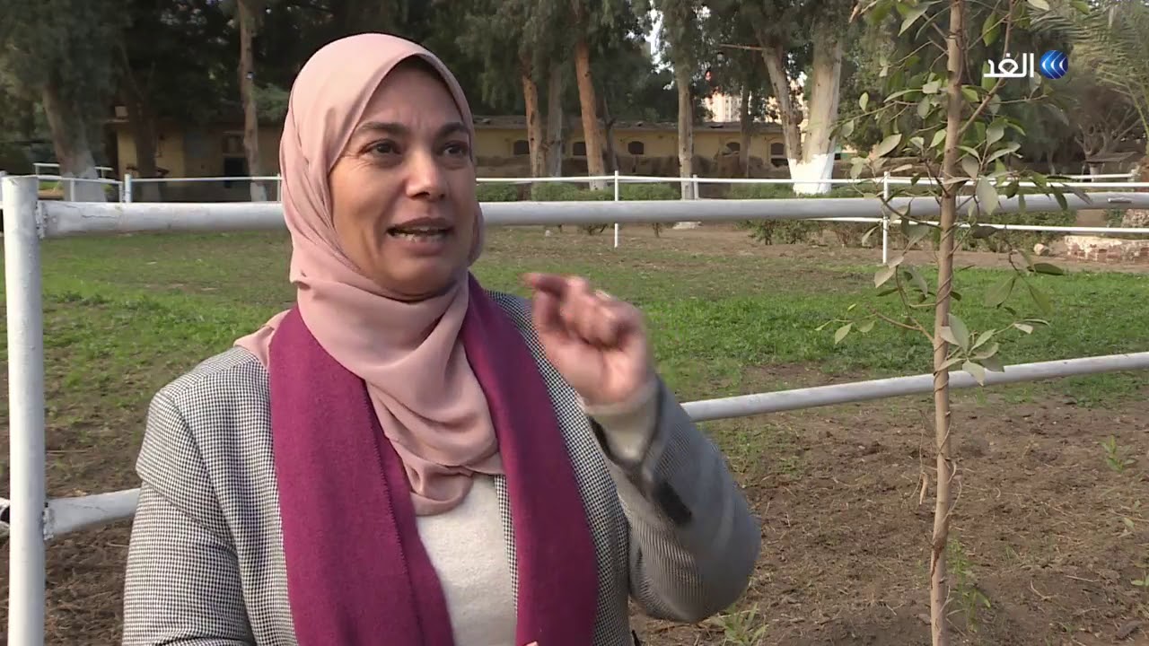 محطة الزهراء في مصر.. من أقدم مزارع تربية الخيول في مصر