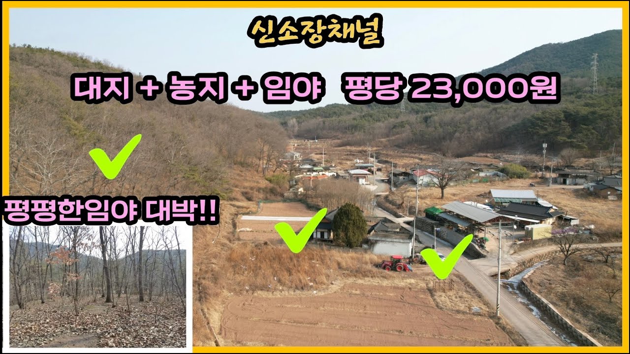 (646번)#대지+농지+임야 저렴하고 평지많은 임야대박#의성땅매매#경북땅매매#의성부동산#안동땅#귀농귀촌#시골집터#농막#체류형쉼터#임업#산매매#시골땅#자연인땅#촌땅#오지땅#토지매매