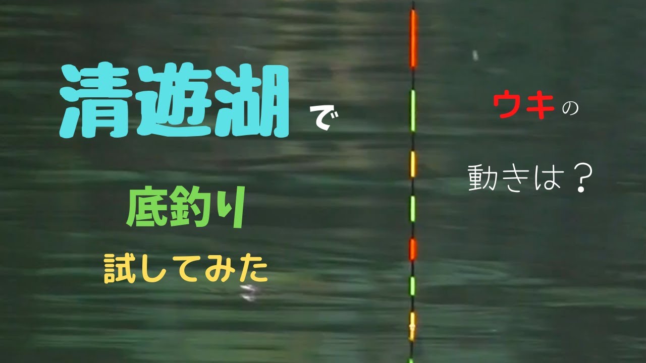 へらぶな釣り動画です。今回は清遊湖さんでの初めての底釣りチャレンジしました。