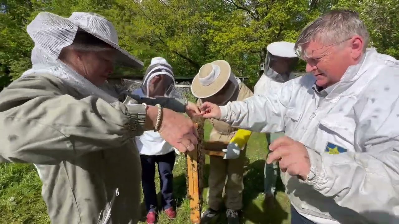 Binder unterh&auml;lt: Der Schwarm geht ab - Jupp!!! ; #imker #beelife #bienen #imkerei #imkern