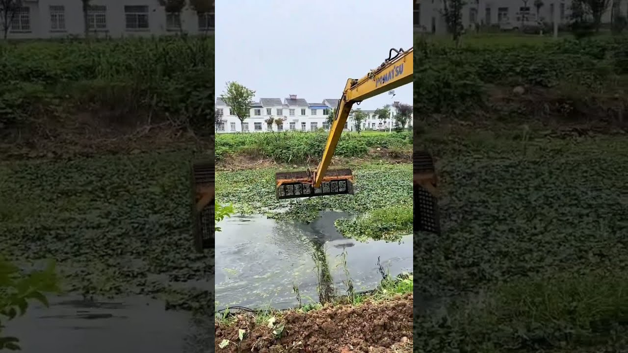 Fishing With JCB 🐠 🐟 fish hunting 🎣🐠