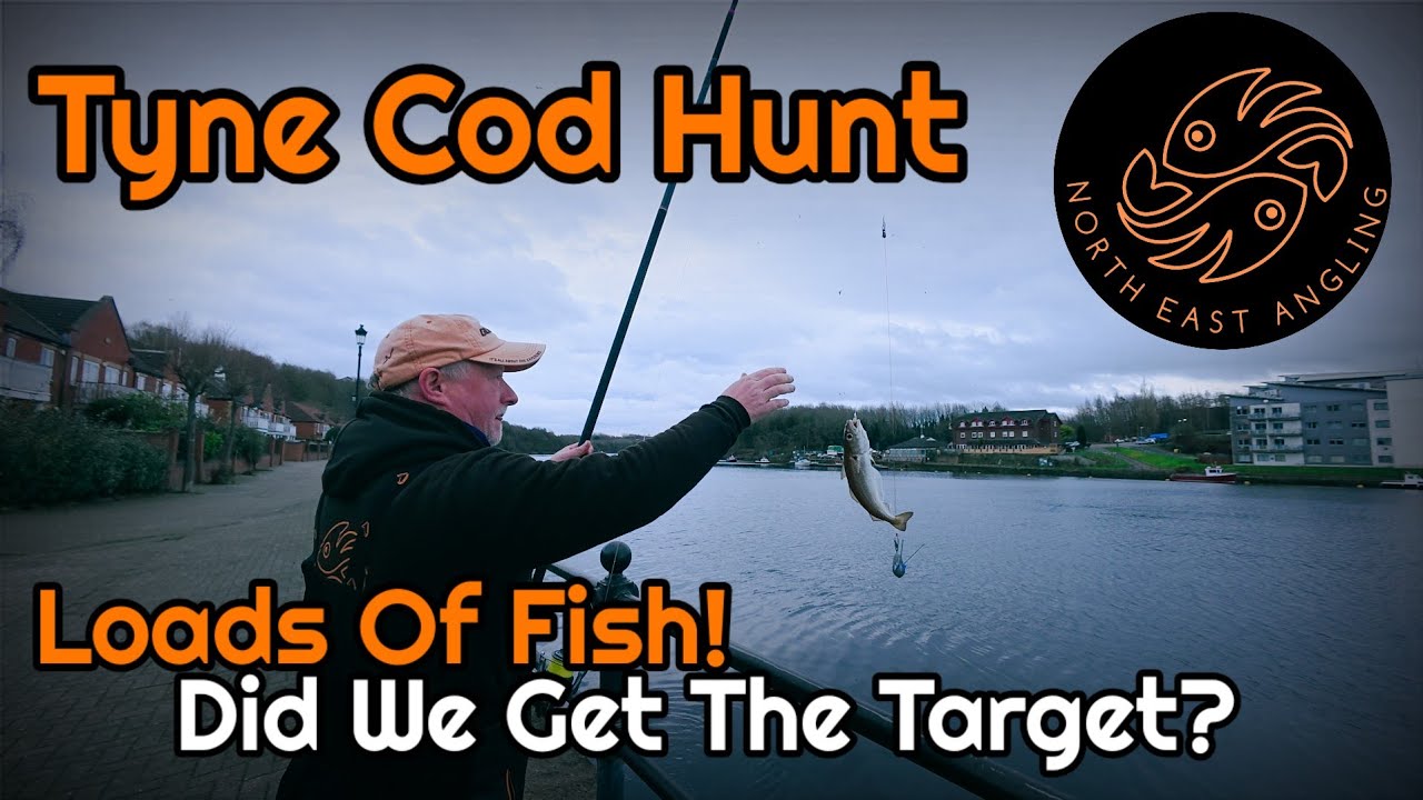 North East Sea Fishing | Fish Galore..But Can We Hook a Winter Cod?