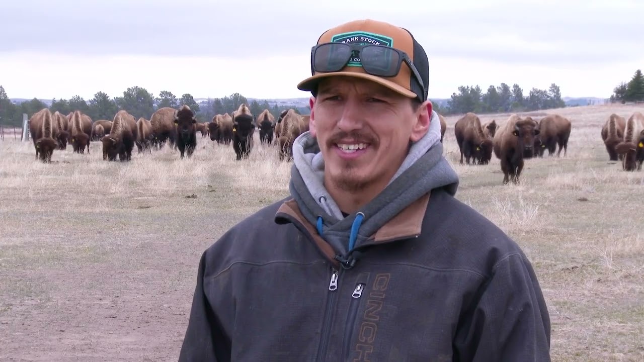 Bringing the Buffalo Home: The next generation of young Native ranchers