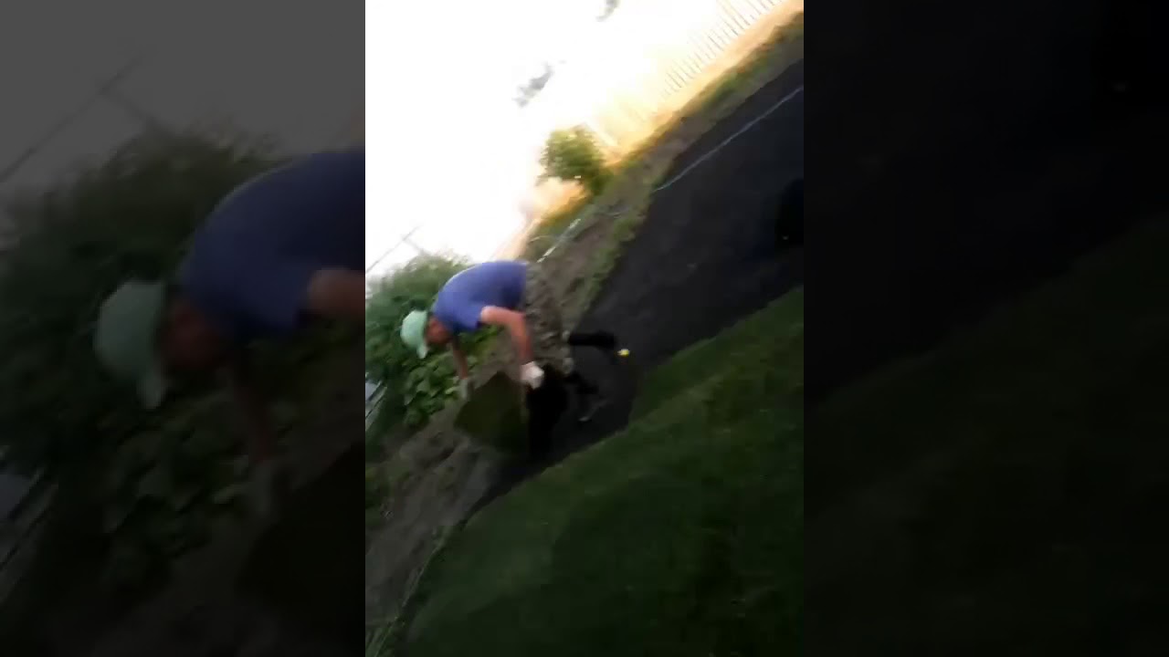 Газон босиш