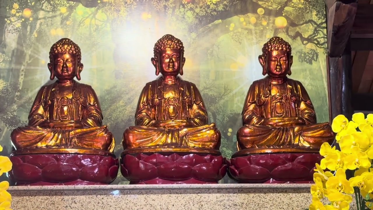 KHÁM PHÁ chùa Viên Quang (Sài Màng cổ hơn 400tuổi)# Hoài cổ xưa | Hành hương lễ Phật đầu năm !