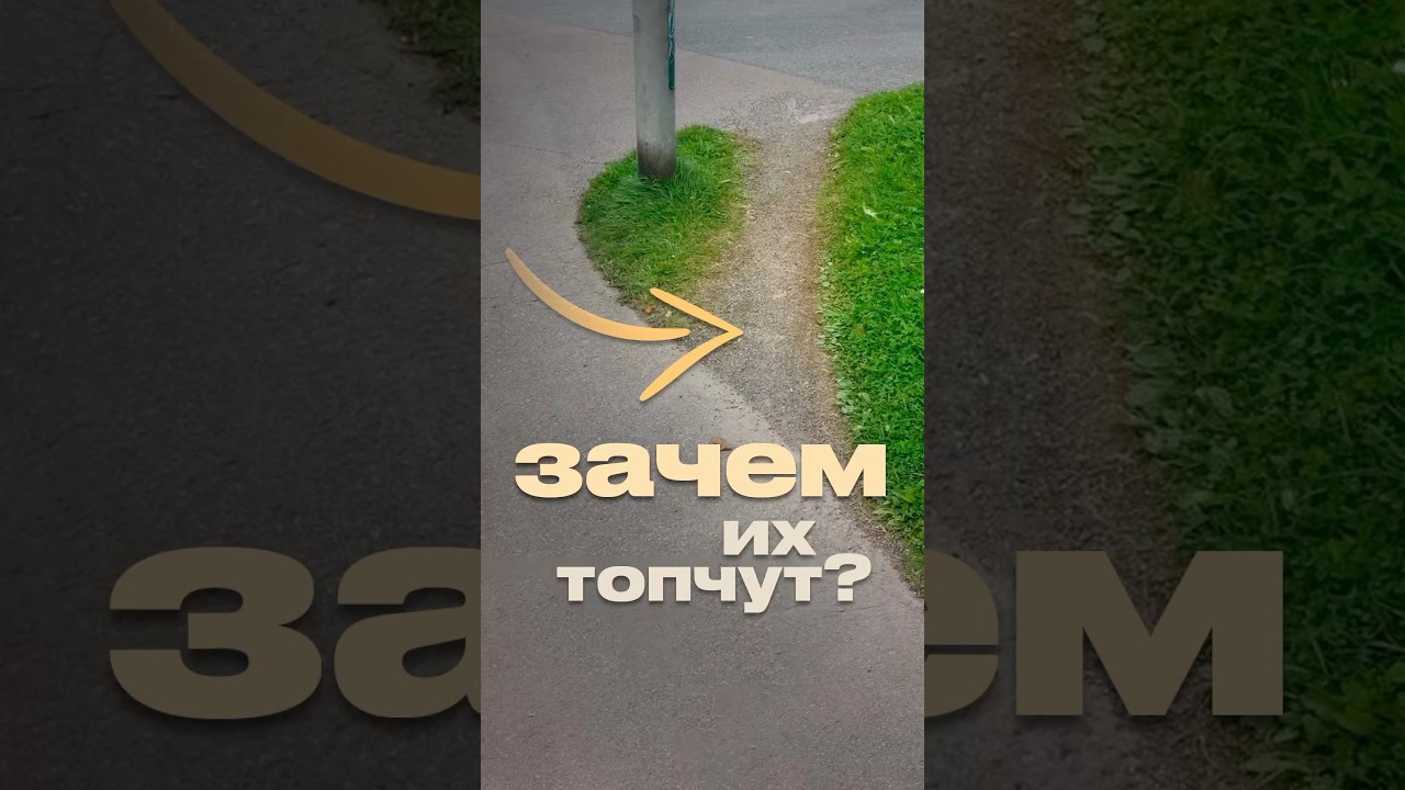 Тропы желаний #урбанизм #архитектура #тропажеланий