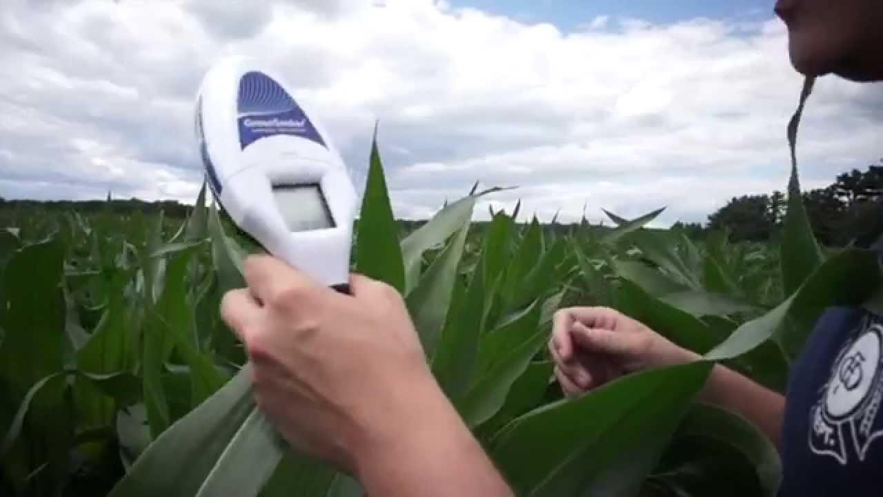 GreenSeeker Handheld How to use.