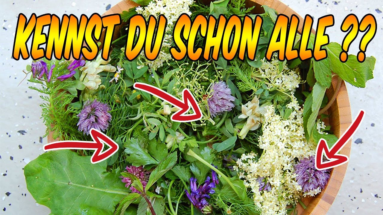 Die krassesten Wildkr&auml;uter im Fr&uuml;hjahr von Roh vegan am Limit Vol. 2