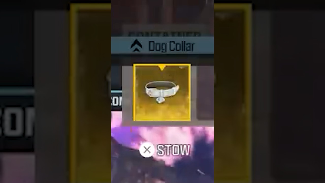 Руководство по ошейнику Golden Dog для 4 уровня 🤯👀 | MW3 Zombies