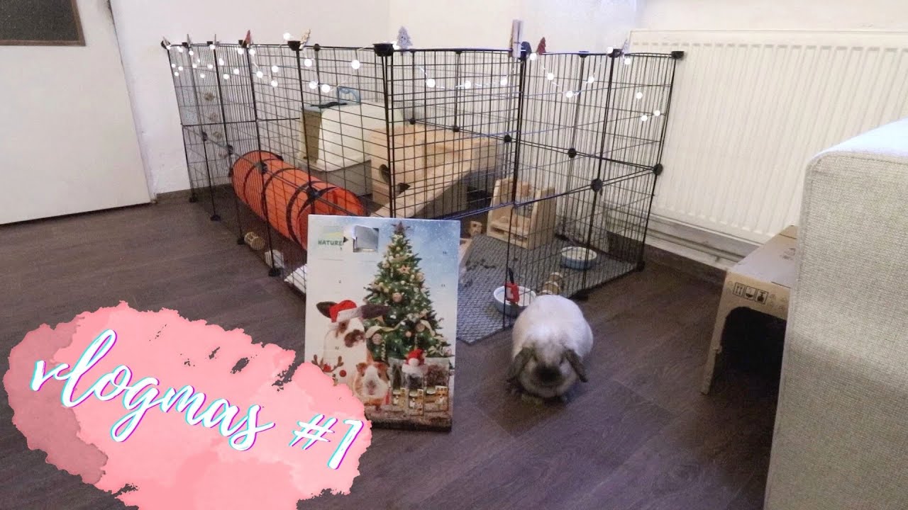 🌟Vánoční výzdoba v domě | VLOGMAS #1