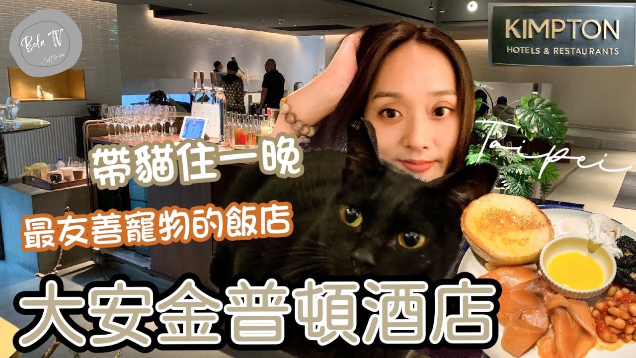 [Eng sub] 帶貓住大安金普頓酒店一晚 【Bola 愛旅遊】