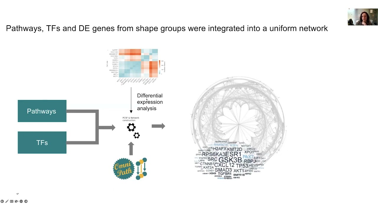 Network-Based Strategies to Study Context-Specific Human Cell Signaling