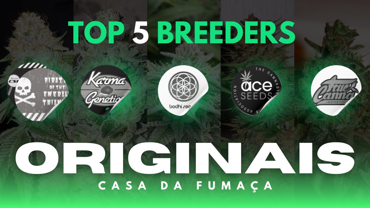 Originais da Casa - Top 5 Breeders da Semana