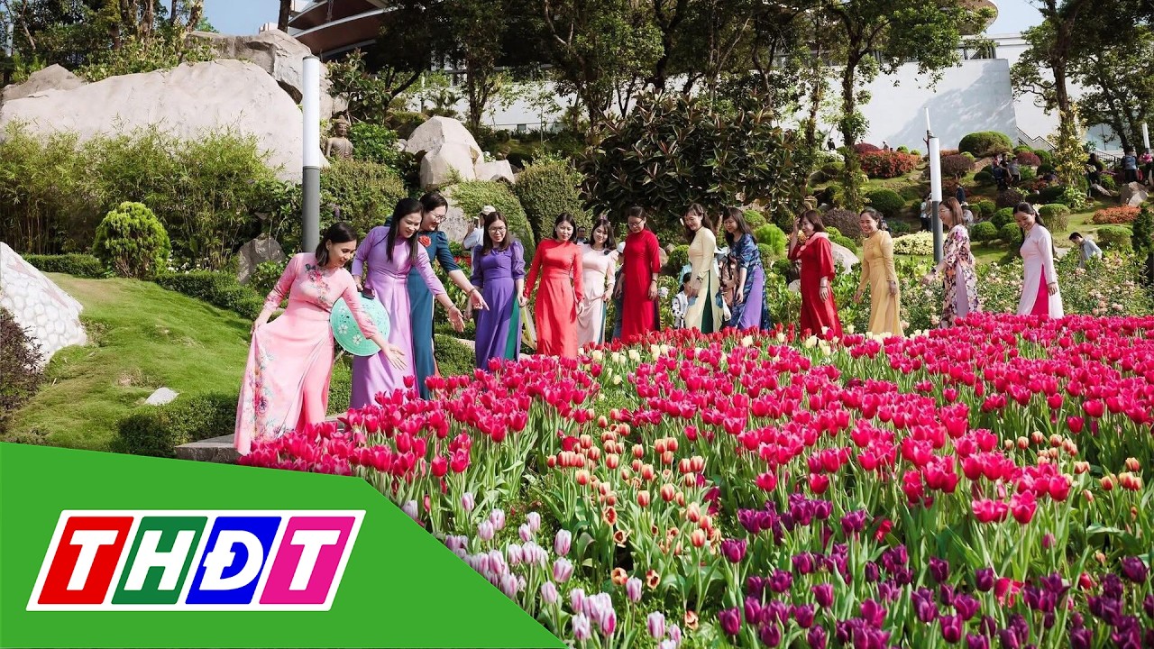 Đầu năm lên núi Bà Đen check-in với vườn hoa tulip rực sắc | THDT