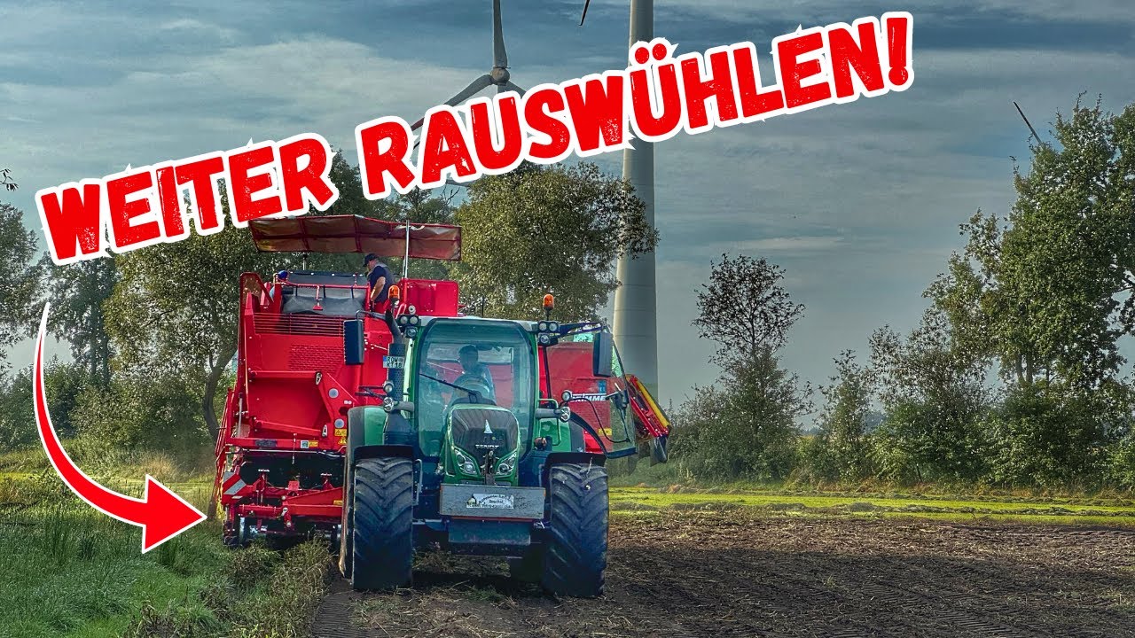 490: Es schmeckt gerade etwas nach Ernte 23 💩🤢