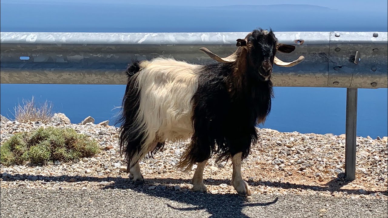 Around Crete (Sfakia Region)