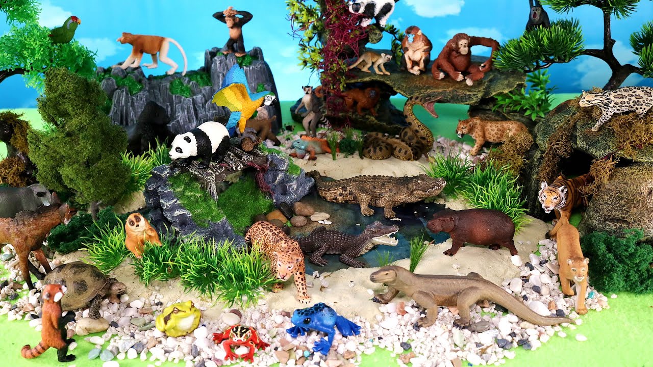 Jungle Diorama and Wild Animal Figurines - Learn Animal Names