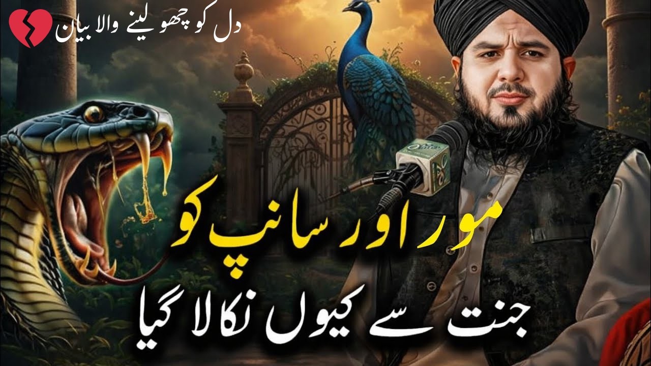 The Untold Story of the Peacock and the Snake in Jannah