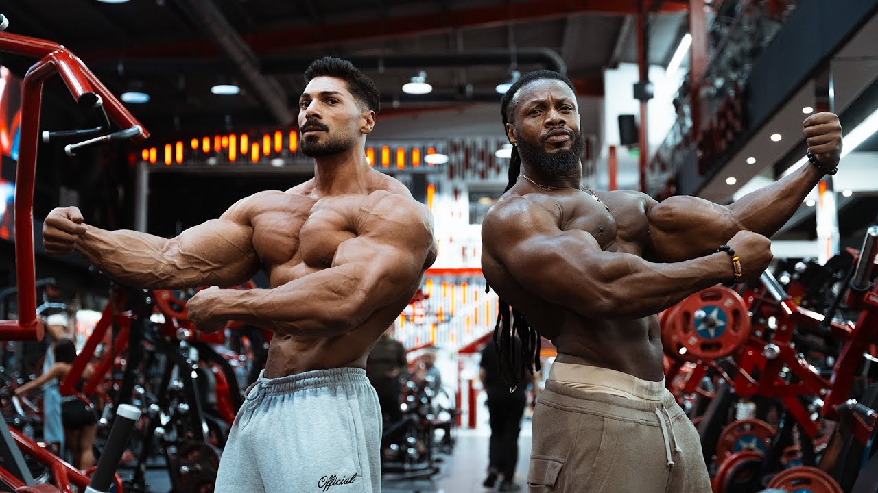 Arm day supersets with @Ulisses World