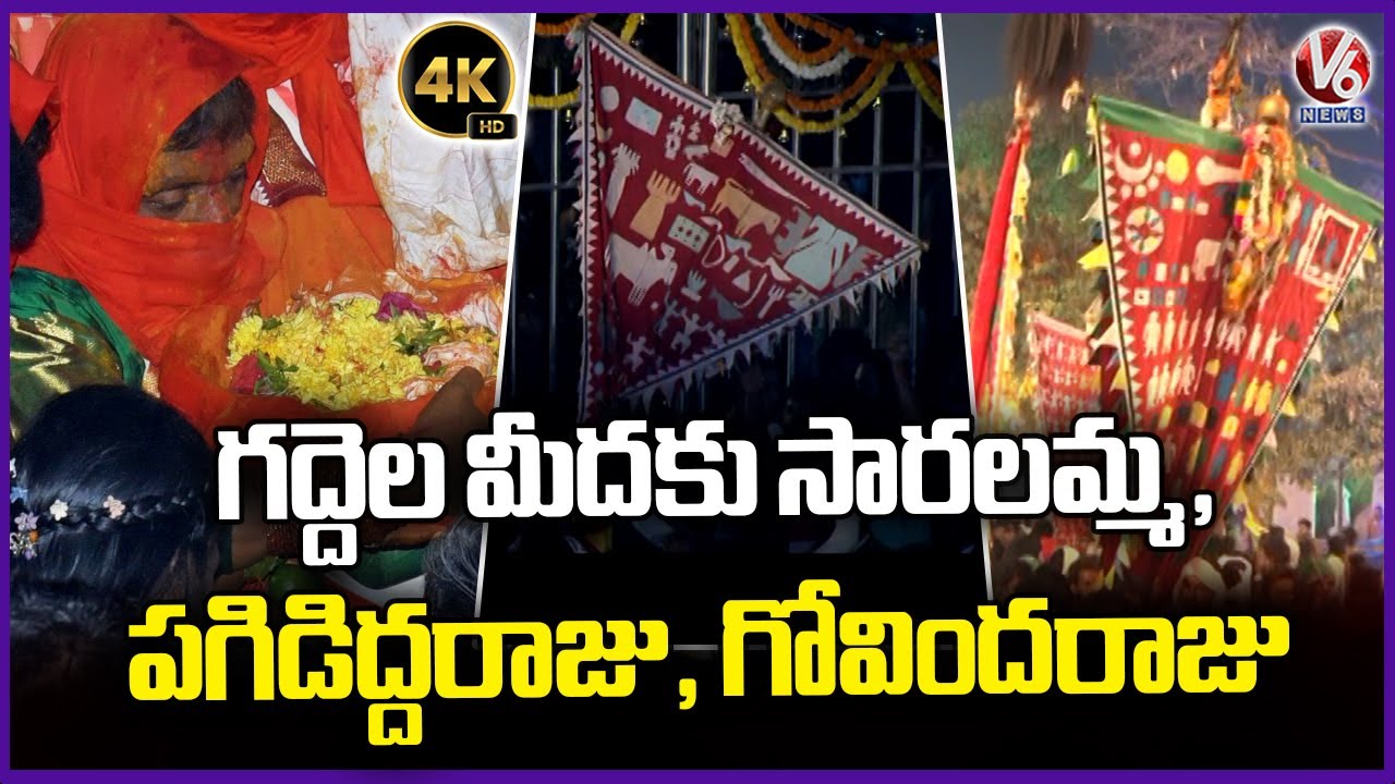 Saralamma, Pagididda Raju And Govindaraju Ascended On To Gadde | Medaram Jatara 2026 | 4K Video | V6