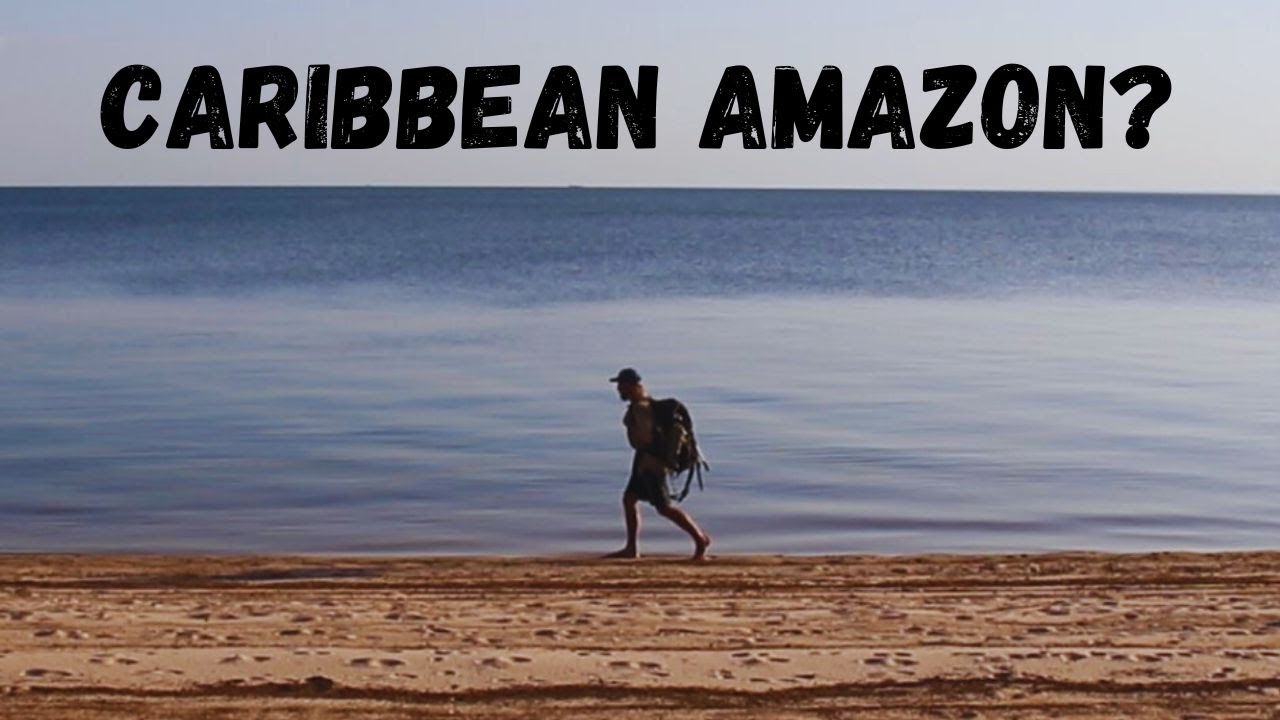 Exploring paradise beaches of the Amazon (Alter do Ch&atilde;o)
