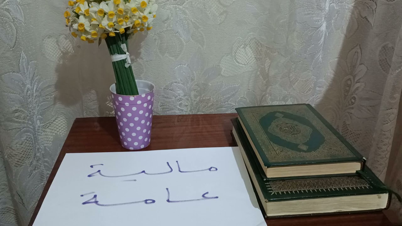 مفهوم القرض العام