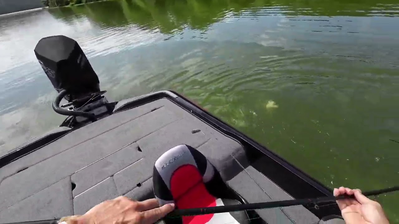 Giant Baits for giant bass!