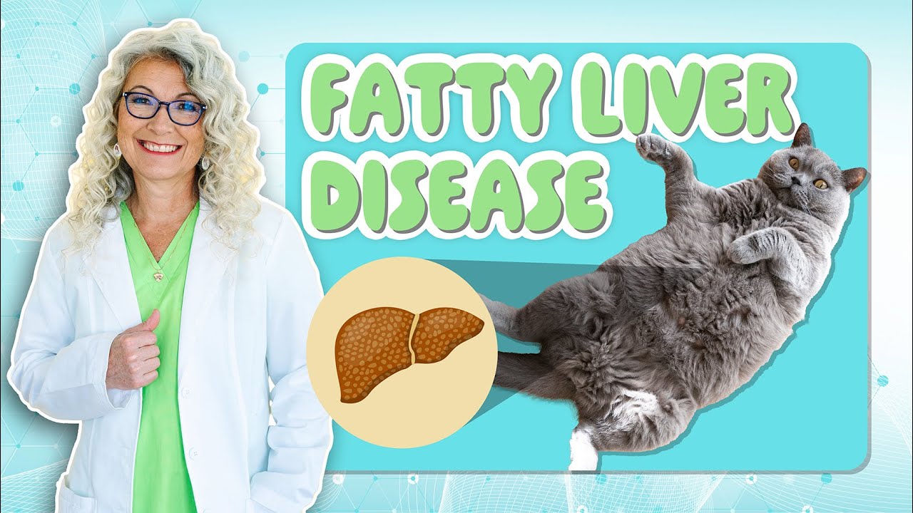 Fatty Liver Disease with Dr. Carrie Smith