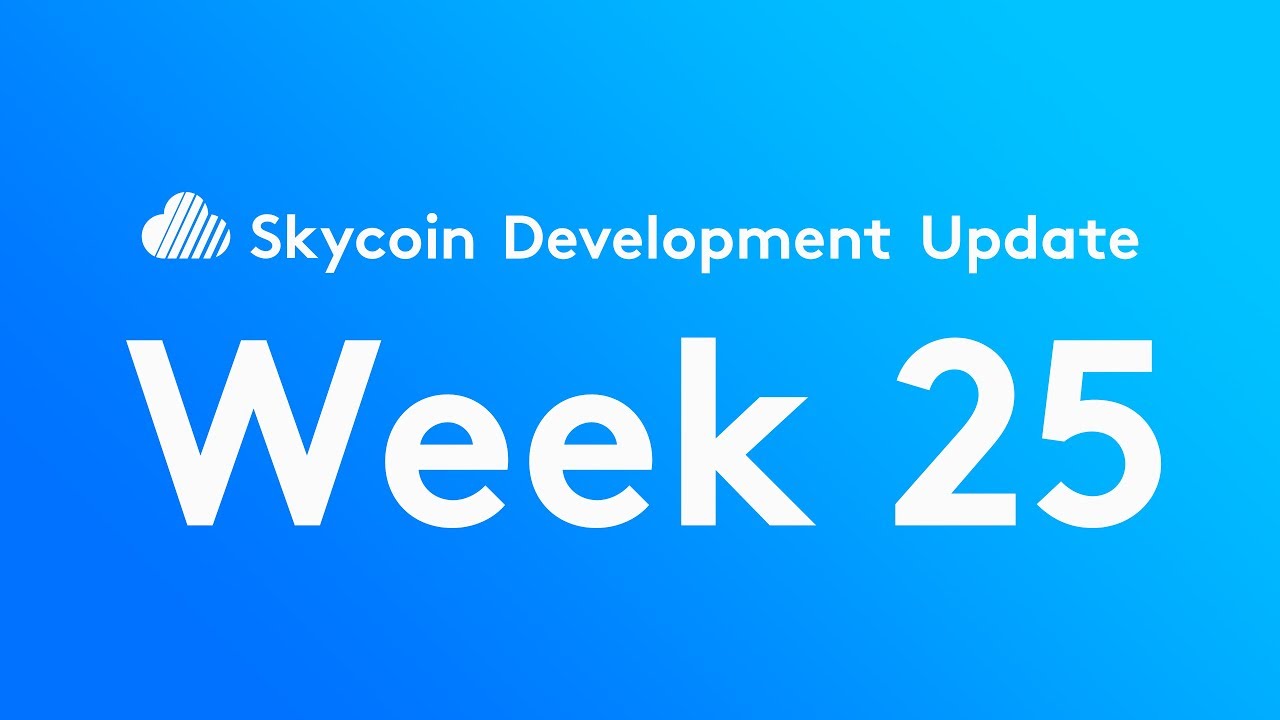Skycoin Development Update Week 25