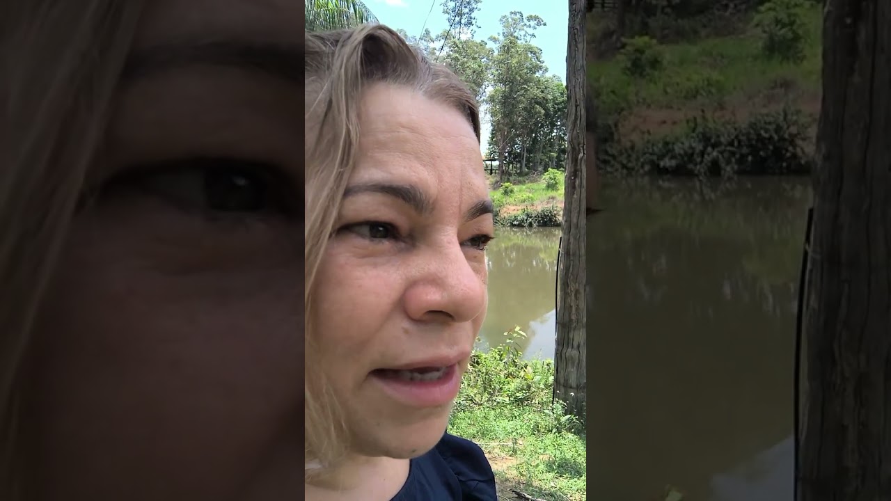 PAZ e REFLEXÃO 