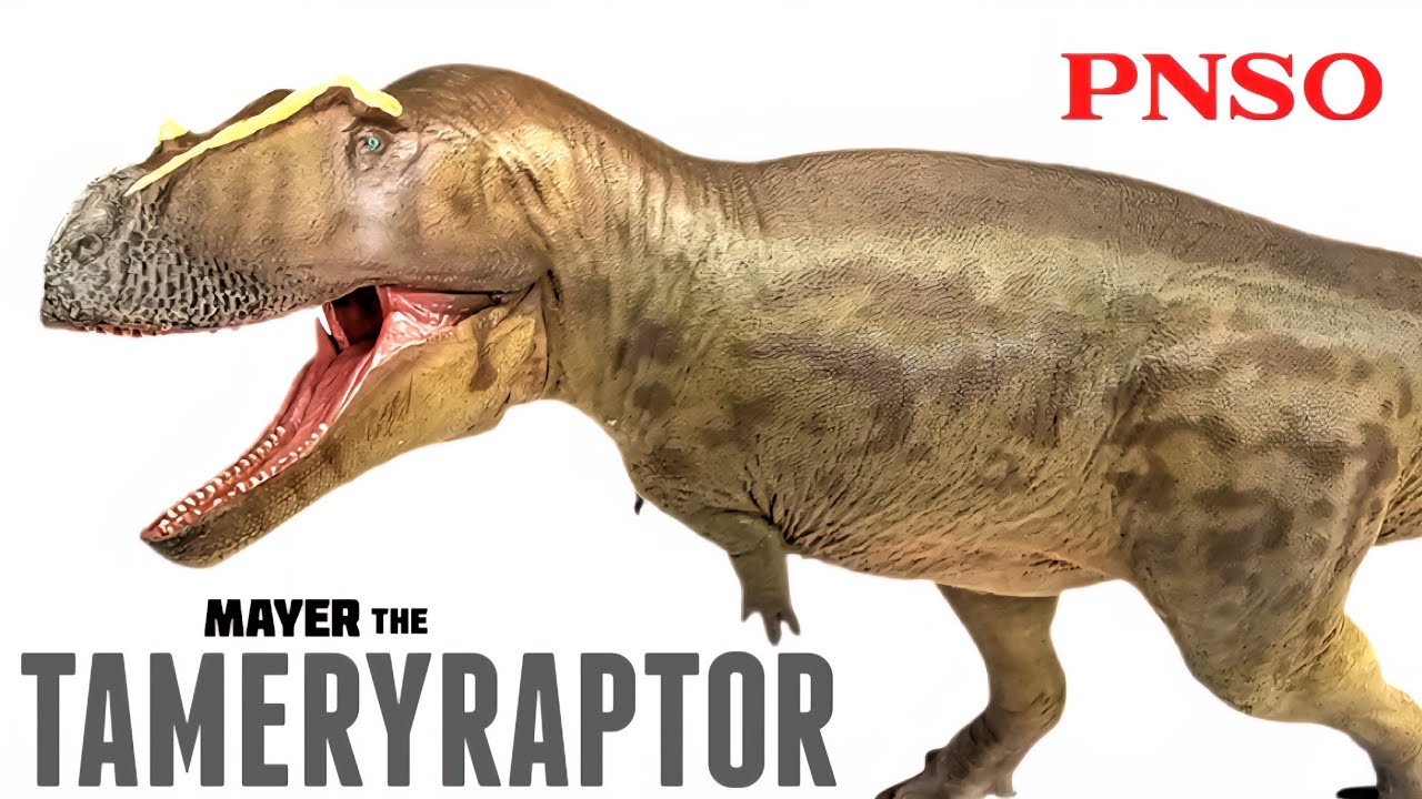 Обзор PNSO Mayer the Tameryraptor!!! ГУБЫ ВЕРНУЛИСЬ!