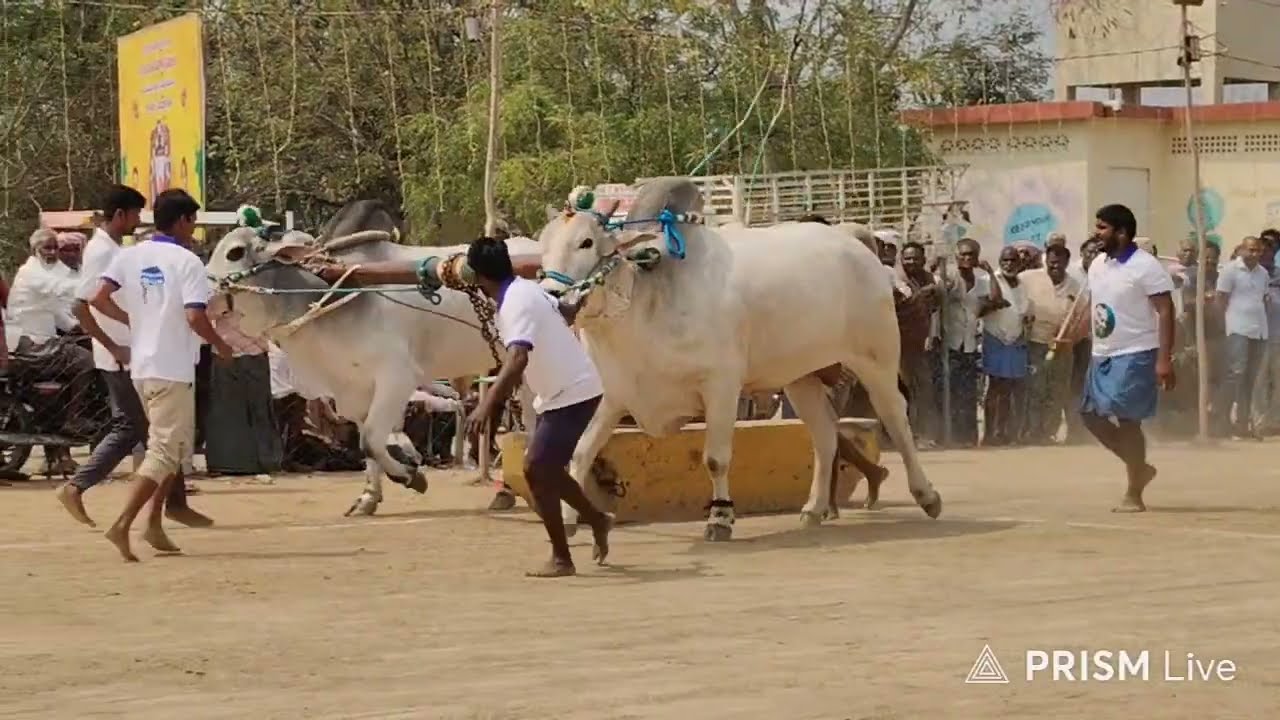 9జతnew category||ఆకుల గణపవరం ||Gmr &మోదుగుల రామిరెడ్డి గారు