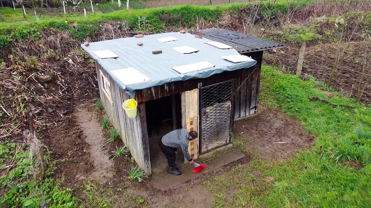 RUSTO jede i spava na deponiji! - Komšije se pokrenule da pomognu!