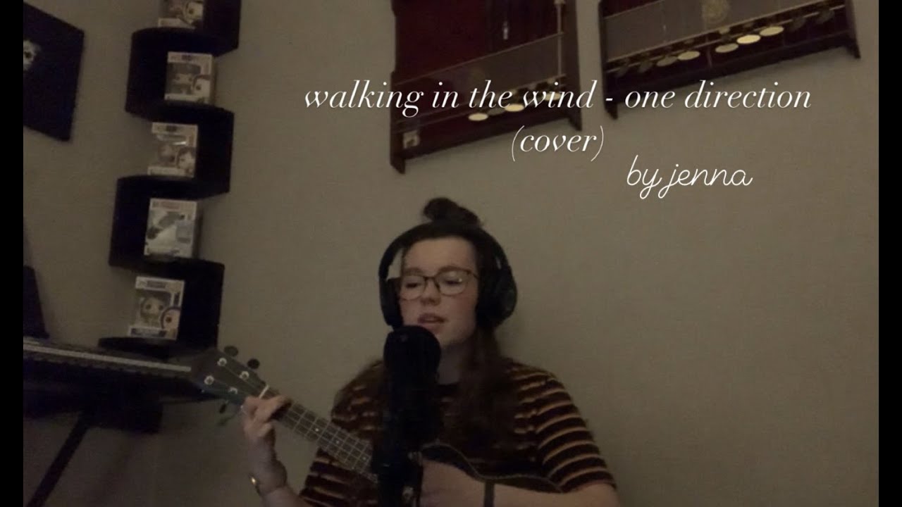 walking in the wind - one direction (cover)
