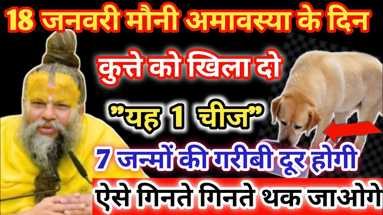 18 जनवरी मौनी अमावस्या: कुत्ते को खिला दें यह 1 चीज़ 7 जन्मों की गरीबी दूर पूज्यPremanand Ji Maharaj 