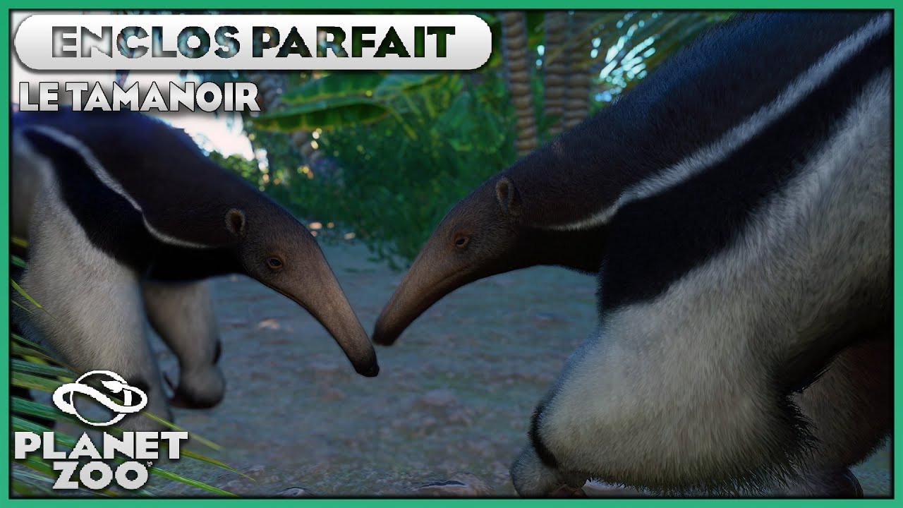 Le Tamanoir | LES ENCLOS PARFAITS : EPISODE 91 | PLANET ZOO