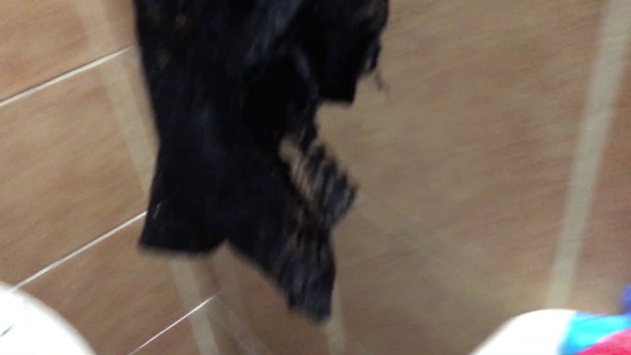 15 panties flushed at once!