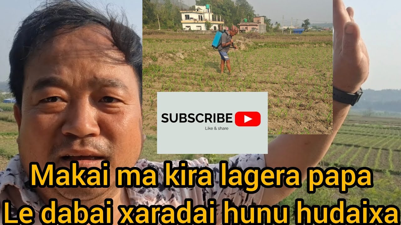 Makai ma kira lagera papa Le dabai xaradai hunu hudaixa mar 20 o3 2026 @pandaYT1981 