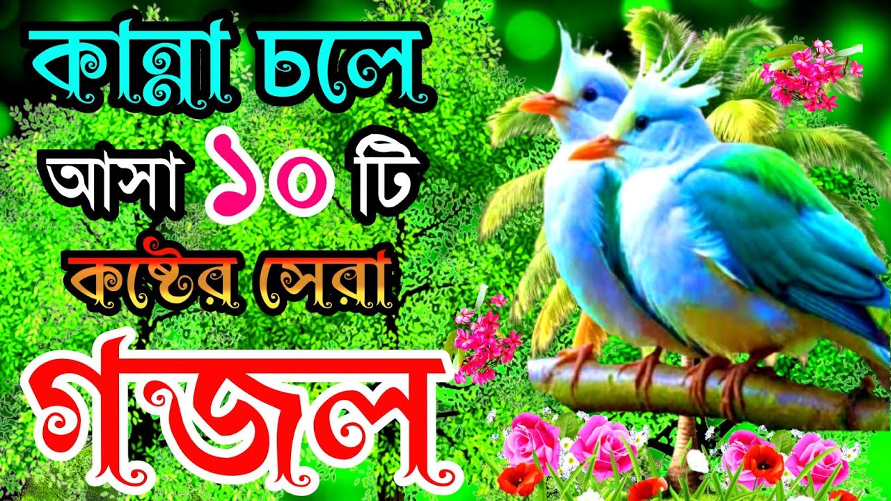 দুঃখের সেরা হৃদয় ছোঁয়া ১০টি গজল |বাংলা বাছাইকৃত গজল |Selected Gajal |New Gojol |Bangla Best Gazal