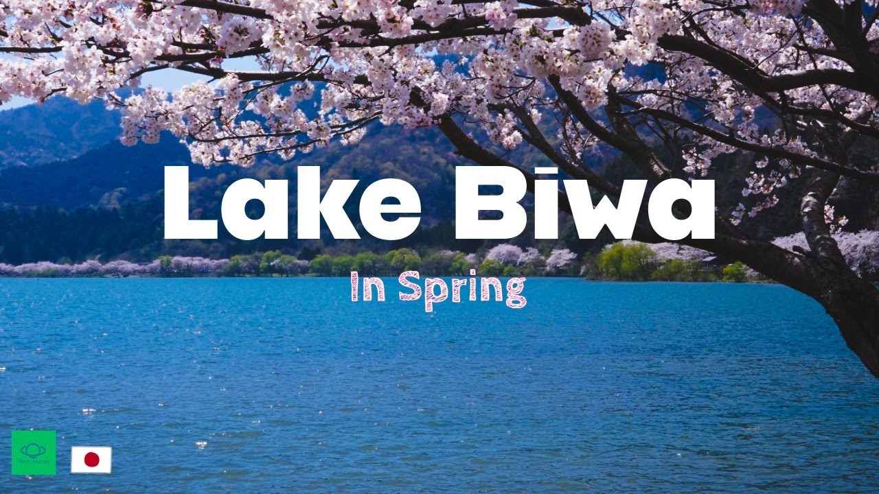 Exploring the beauty of LAKE BIWA in Spring | Touring Cherry blossoms Spots | Japan Travel 4K Vlog